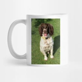 Brock in a yellow collar Mug